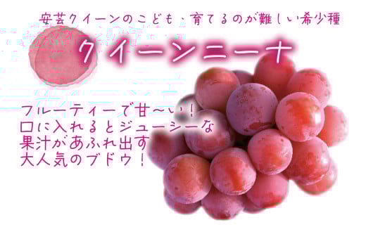 ã2026幎å
è¡äºçŽã岡山 è±ç¬ã¿èŸ²åã®ãã·ã£ã€ã³ãã¹ã«ããïŒã¯ã€ãŒã³ããŒãã 1ãïŒ2æ¿ïŒ ãhana066-02ã