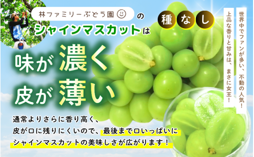 【訳あり】※2026年の予約です！※岡山県産 林ファミリーのシャインマスカット 約1.2kg（約2～3房）【2026年先行予約】 / 葡萄 ぶどう 岡山 真庭市 マスカット ブドウ 果物 フルーツ 新鮮 人気 数量限定 お買い得 家庭用 お試し ぶどう専門【hfbd021-02】