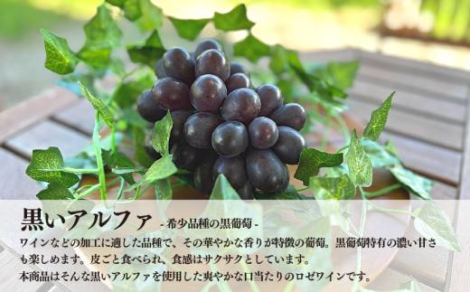 【きよとうファーム】黒いアルファのロゼワイン「BLACK DAWN」とジャム3種のセット (岡山県産)【KF-S011-01】