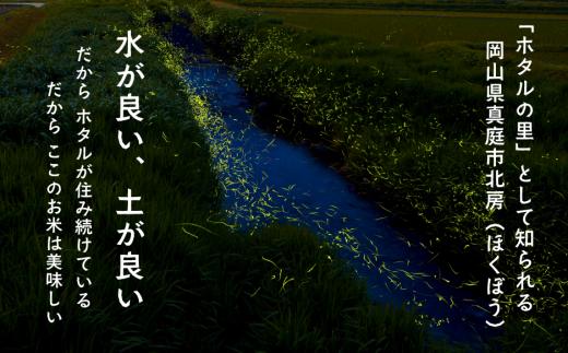 【2026年先行予約】令和8年産新米 岡山ほたる米 きぬむすめ精米5kg (岡山県真庭産)【KF-R003-01】
