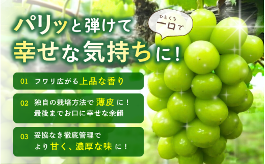 【訳あり】※2026年の予約です！※岡山県産 林ファミリーのシャインマスカット 約1.2kg（約2～3房）【2026年先行予約】 / 葡萄 ぶどう 岡山 真庭市 マスカット ブドウ 果物 フルーツ 新鮮 人気 数量限定 お買い得 家庭用 お試し ぶどう専門【hfbd021-02】