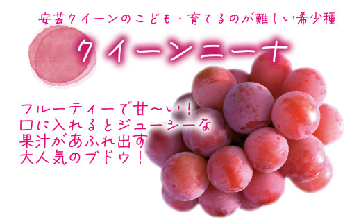 ã2026幎å
è¡äºçŽã岡山ãè±ç¬ã¿èŸ²åããã¥ãŒããªãŒã&ã¯ã€ãŒã³ããŒãã1kg(2æ¿) / ã¶ã©ã è©°ãåãã é£ã¹æ¯ã¹ çåºåžãhana031-02ã