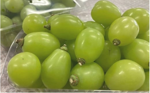 2026年先行予約 Lino＆Kai Farmのシャインマスカット 粒カットバラ品 (2kg程度）ぶどう 岡山 真庭市 シャインマスカット 高級 【linokai004-02】