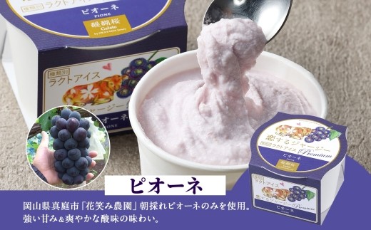 縲舌ず繧ァ繝ゥ繝シ繝磯埼先。懊代千ィ譁励第°縺吶k繧ク繝」繝シ繧ク繝シPremium繝斐が繝シ繝6蛟九そ繝繝 / 蟯。螻ア 逵溷コュ 驢埼先。 讌オ荳翫せ繧、繝シ繝 豼蜴 繝励Ξ繧シ繝ウ繝 雍育ュ 繝繧カ繝シ繝 繧ョ繝輔ヨ 繧ク繝」繝シ繧ク繝シ迚 繝溘Ν繧ッ 繧ク繧ァ繝ゥ繝シ繝 縺翫d縺、 縺カ縺ゥ縺 蟄蝉セ帙°繧牙、ァ莠コ縺セ縺ァ 蜀キ蜃 莠コ豌 雍豐「 縲刃hss008n-01縲