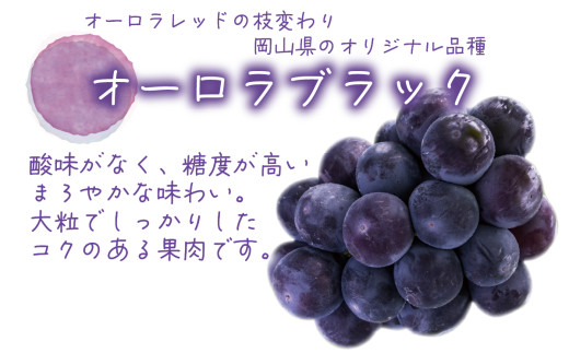 ã2026幎å
è¡äºçŽã 岡山 è±ç¬ã¿èŸ²åã®ããã¥ãŒããªãŒã&ãªãŒãã©ãã©ãã¯ã1kg(2æ¿) 2026幎9æäžæ¬ïœ åä»é ã«çºéäºãhana032-02ã