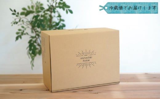【2026年先行予約】 岡山 花笑み農園の『BKシードレス』家庭用2kg（3～6房） 2026年9月中旬～ 受付順に発送予定 【hana029-02】