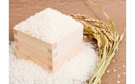 令和7年新米 真庭市産 太安さんちのあきたこまち 無洗米 10kg（5kg×2袋） / お米 岡山県 人気 ブランド 2025年産 【tkns017-01】