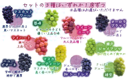 ã2026幎å
è¡äºçŽã岡山ãè±ç¬ã¿èŸ²åã®ãããŠãé£ã¹æ¯ã¹ïŒçš®ã»ãããã·ã£ã€ã³ãã¹ã«ããå
¥ãã2kgïŒ4æ¿ïŒ ãhana019-02ã