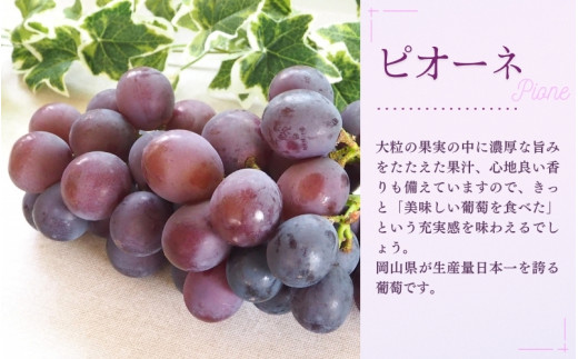 ã2026幎å
è¡äºçŽãNISSHOKUãFARMãç¹éžã倧ç²ã¶ã©ããšããªãŒãã·ãããã®ã»ããïŒã·ã£ã€ã³ãã¹ã«ããå
¥ãïŒå²¡å±± ãnisfarm011-02ã
