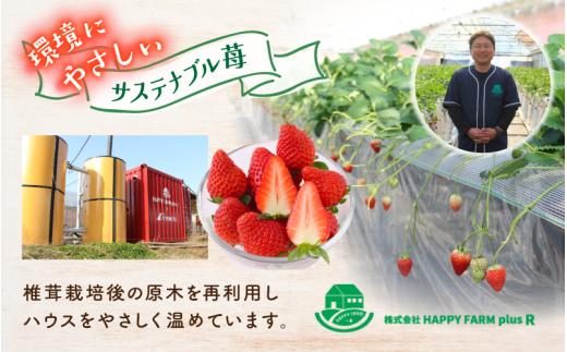 【贈答用】 高級いちご よつぼし すず 品種おまかせセット （15粒 × 1箱） ゆりかご入り / いちご イチゴ ストロベリー 苺 こだわり 新鮮 産直 産地直送 サステナブル 果物 フルーツ くだもの ギフト プレゼント 贈答 岡山県 真庭市 ハッピーファーム 【hfpr002-01】