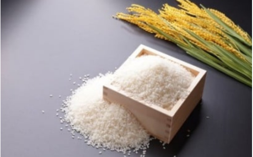 ＜定期便 全12回＞ 令和７年産 真庭市産 太安さんちのあきたこまち 無洗米 10kg（5kg×2袋）×12回 / お米 国産 岡山県 人気 ブランド 2025年産 【tkns-tkb050-cho】