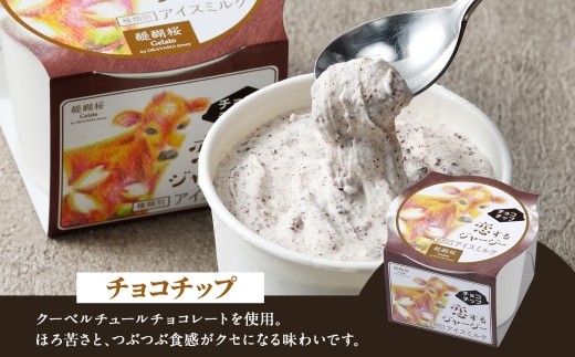 【ジェラート醍醐桜】恋するジャージーチョコチップ 6個セット / 岡山 真庭 醍醐桜 極上スイーツ 濃厚 プレゼント 贈答 デザート ギフト ジャージー牛 ミルク ジェラート おやつ チョコレート 子供から大人まで 冷凍 人気 贅沢 家庭用にも 【nhss017-01】