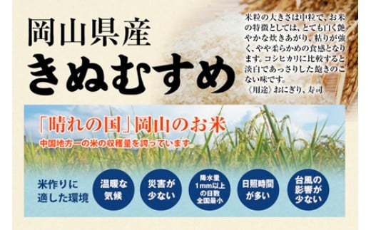 ＜定期便 全6回＞令和7年新米 真庭市産きぬむすめ 無洗米 5kg×6回 / お米 国産 岡山県 米 人気 ブランド 2025年産 【tkns-tkb020】