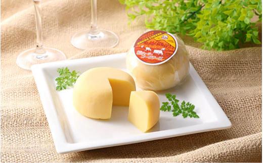 【6カ月定期便】蒜山ジャージーのバター・チーズ・ヨーグルトのセット 詰め合わせ 食べ比べ ひるぜん 蒜山酪農 真庭 岡山 ジャージー ギフト 冷蔵【hiru-tkb027】