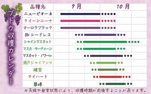 【2026年先行予約】花笑み農園　岡山『ぶどうの宝石箱』３種以上（18粒入り） 【hana050-02】