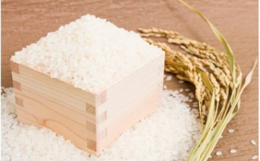 ＜定期便 全12回＞ 令和７年産 真庭市産 太安さんちのあきたこまち 無洗米 10kg（5kg×2袋）×12回 / お米 国産 岡山県 人気 ブランド 2025年産 【tkns-tkb050-cho】