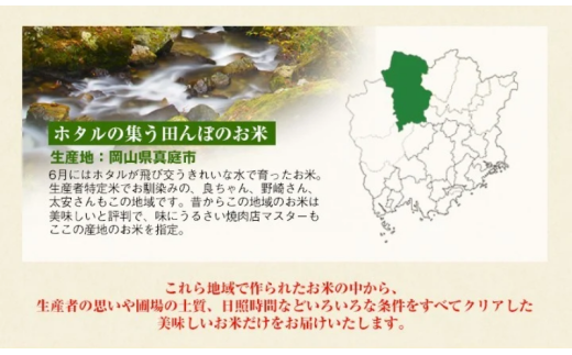 ＜定期便 全3回＞ 令和7年新米 真庭市産きぬむすめ 無洗米 10kg (5kg×2袋) ×3回 岡山県 竹中商店 先行予約 米 【tkns-tkb022】