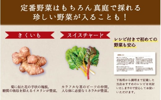 真庭あぐり野菜セット（野菜10品・卵・ヨーグルトのセット） / 産地直送 農家 お試し 岡山県 旬野菜 新鮮 あぐりガーデン 国産 蒜山 ジャージー牛 たまご 真庭市 カット野菜 平飼い卵 新鮮 【配送不可地域：北海道／沖縄県／離島】 【jujy027-01】