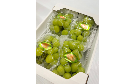 【2026年先行予約】訳ありだけど、甘～いシャインマスカット/約2kg (岡山県産) 【KF-B020-03】