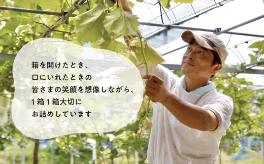 ã2026幎å
è¡äºçŽãæ¡ãè¡èããã£ããé£ã¹ããïŒæ¬æ¡ãšã·ã£ã€ã³ãã¹ã«ããã®æºè¶³äŸ¿ (å®æäŸ¿) (岡山çç£) / 7æ9æ ãKF-T061-02ã