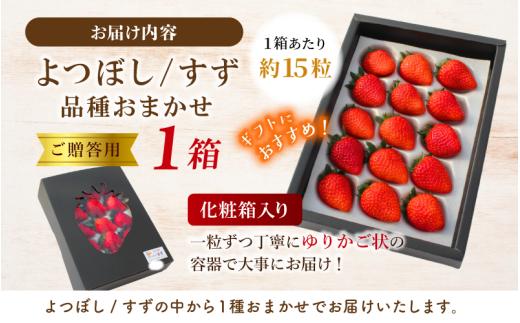 【贈答用】 高級いちご よつぼし すず 品種おまかせセット （15粒 × 1箱） ゆりかご入り / いちご イチゴ ストロベリー 苺 こだわり 新鮮 産直 産地直送 サステナブル 果物 フルーツ くだもの ギフト プレゼント 贈答 岡山県 真庭市 ハッピーファーム 【hfpr002-01】