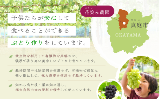 【2026年発送・先行予約】ピオーネ 除草剤不使用 3～4房(約2kg)贈答用 種なし ニューピオーネ 岡山ピオーネ ピオーネ ぴおーね ぶどう 葡萄 ブドウ 果物 フルーツ 大粒 ピオーネ 種無し 産地直送 農家直送 厳選 化粧箱 花笑み農園 岡山 ピオーネ 真庭市【hana006-03】
