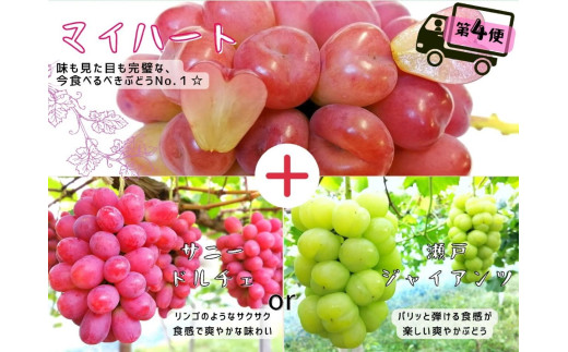 【産地直送】 ※2026年の予約です！※ 岡山 シャインマスカット ＆ マイハート 入り！新鮮 ぶどう 定期便 ×４回コース【2026年9月下旬～】離島不可 / 葡萄 ブドウ 果物 フルーツ マスカット ピオーネ 瀬戸ジャイアンツ 新鮮 当日出荷 林ファミリー 真庭市【hfbd-tkb008-02】