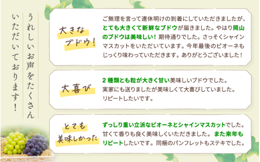 【2026年先行予約】 シャインマスカット&ニューピオーネ 1kg～1.5kg（2房） 2026年9月中旬～ 受付順に発送予定 贈答用にも 花笑み農園 ぶどう 岡山 真庭 ピオーネ 詰め合わせ 食べ比べ シャインマスカット 【hana007-03】