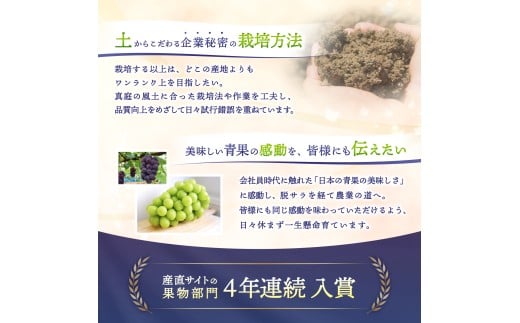 【2026年先行予約】 【ご家庭用】 Lino＆Kai Farmのシャインマスカット 2房（1.4kg前後） 化粧箱入  / 朝採れ ぶどう 岡山  真庭市 シャインマスカット 高級 ギフト 大粒 果物 贈答 人気 産地直送 国産 数量限定 種なし 【linokai008-02】