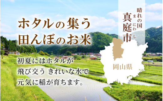 ＜定期便全12回＞ 令和7年産 真庭市産 ひとめぼれ 白米 10kg(5kg×2袋)×12回（定期便）/ お米 岡山県 真庭市 白米 米 ひとめぼれ 人気 ブランド米 2025年産 【tkns-tkb006-cho】
