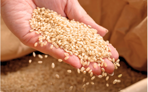 縲蝉サ、蜥7蟷エ逕」縲 蟯。螻ア逵檎悄蠎ュ蟶ら肇 闥懷アア邀ウ 縺ゅ″縺溘%縺セ縺。 邇邀ウ 10kg / 逵溷コュ蟶 蟯。螻ア逵 莉、蜥7蟷エ逕」 2025蟷エ逕」 譁ー邀ウ 邇邀ウ 謨ー驥城剞螳 2025蟷エ9譛井ク区流ス樣谺。逋コ騾∽コ亥ョ 縲紳gurih002-03縲