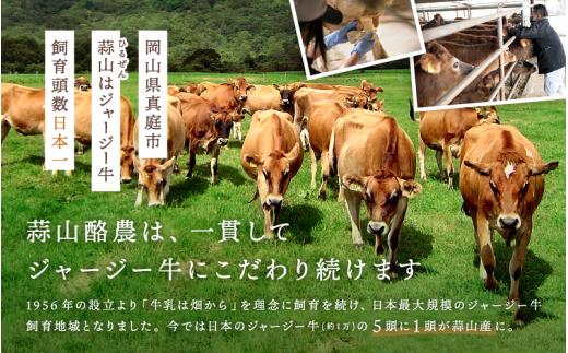【6カ月定期便】蒜山ジャージーのバター・チーズ・ヨーグルトのセット 詰め合わせ 食べ比べ ひるぜん 蒜山酪農 真庭 岡山 ジャージー ギフト 冷蔵【hiru-tkb027】