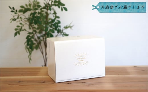 ＼2026年の先行予約です／ ぶどう 岡山 花笑み農園『ニューピオーネ』1kg（2房） hana14 贈答 岡山 真庭 ピオーネ 高級 1kg 贈答 2025 真庭市 大粒 葡萄 果物 フルーツ 濃厚ピオーネ 人気 数量限定 2026年9月上旬～ 受付順に発送予定 【hana014-03】