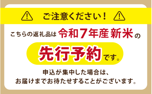 縲蝉サ、蜥7蟷エ逕」縲 蟯。螻ア逵檎悄蠎ュ蟶ら肇 闥懷アア邀ウ 縺ゅ″縺溘%縺セ縺。 邇邀ウ 10kg / 逵溷コュ蟶 蟯。螻ア逵 莉、蜥7蟷エ逕」 2025蟷エ逕」 譁ー邀ウ 邇邀ウ 謨ー驥城剞螳 2025蟷エ9譛井ク区流ス樣谺。逋コ騾∽コ亥ョ 縲紳gurih002-03縲