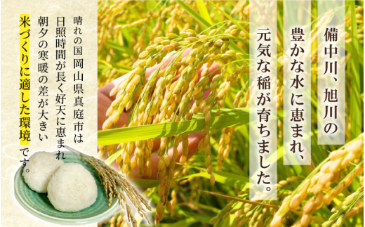 シ懷ョ壽悄萓ソ蜈ィシ門屓シ 莉、蜥7蟷エ逕」 逵溷コュ蟶ら肇 縺イ縺ィ繧√⊂繧 逋ス邀ウ 10kg(5kgテ2陲)テ暦シ門屓シ亥ョ壽悄萓ソシ/ 縺顔アウ 蟯。螻ア逵 逵溷コュ蟶 逋ス邀ウ 邀ウ 縺イ縺ィ繧√⊂繧 莠コ豌 2025蟷エ逕」 縲腎kns-tkb005-cho縲