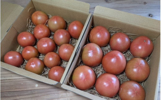 亮麻農園　大玉トマト「桃太郎」3.2～4.0kg【rmne001-02】