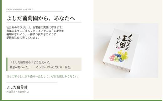 【2026年先行予約】 マスカサーティーン【シャイン一族の希少品種】 1㎏（2房または3房） 高級 シャインマスカット よしだ葡萄園 朝どれ直送【10月上旬～10月下旬頃に順次発送】/ ぶどう シャインマスカット 果物フルーツ 贈答品 贈り物 岡山県 真庭市【ysdb004】