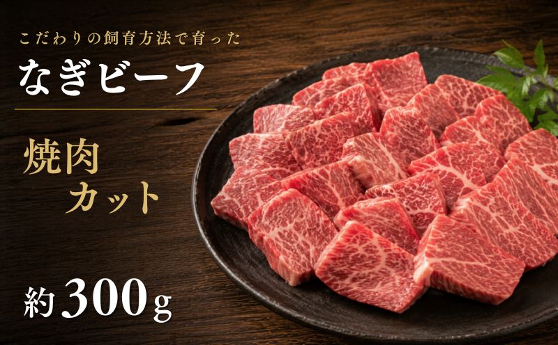 なぎビーフ 焼肉カット 300g（300g×1） / 焼肉 牛肉 牛 和牛 なぎビーフ 冷凍 奈義町 岡山県産 国産牛 国産 【mtsy012】