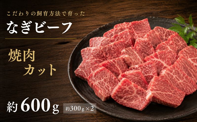 なぎビーフ 焼肉カット 600g（300g×2） / 焼肉 牛肉 牛 和牛 なぎビーフ 冷凍 奈義町 岡山県産 国産牛 国産 【mtsy013】