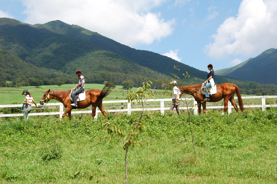 馬と人との共生事業