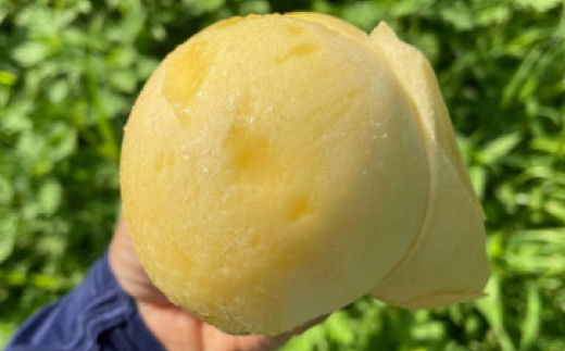 【先行予約・2026年7月下旬頃発送】とろける果肉とたっぷり果汁の岡山の白桃・清水白桃(2kg箱)【配送不可地域：離島】【1294295】