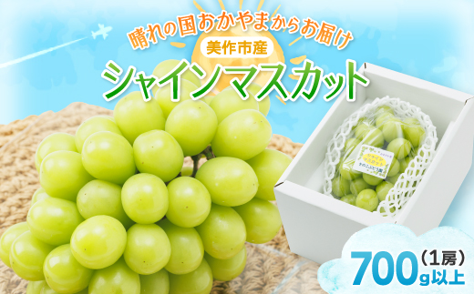 【2026年先行受付】岡山県美作市産　シャインマスカット　1房(700g以上)【配送不可地域：離島】【1142181】