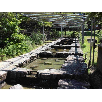 川魚のつかみどり体験【1672830】