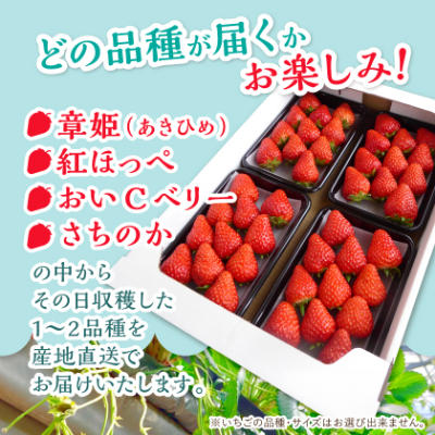 岡山ççŸäœåžç£ããã¡ãè©°åã(çŽ280gÃ4ããã¯)ãé
éäžå¯å°åïŒé¢å³¶ã»åæµ·éã»æ²çžçãã1073695ã