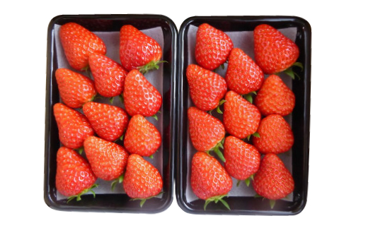 岡山ççŸäœåžç£ããã¡ãè©°åã(çŽ280gÃ2ããã¯)ãé
éäžå¯å°åïŒé¢å³¶ã»åæµ·éã»æ²çžçãã1130056ã