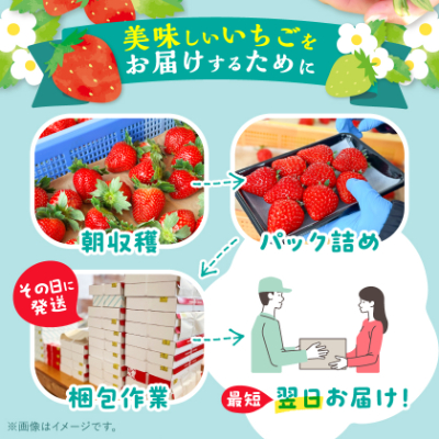 【2026年4月より順次発送】岡山県美作市産　いちご詰合せ(約280g×4パック)【配送不可地域：離島・北海道・沖縄県】【1073695】
