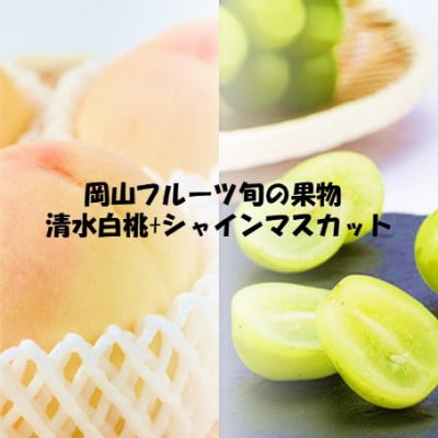 【発送月固定定期便】 2026年先行予約　岡山フルーツ旬の果物 清水白桃+シャインマスカット全2回【配送不可地域：離島】【4069071】
