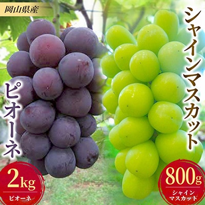 【発送月固定定期便】ぶどうのセット(ピオーネ2kg・シャインマスカット1房)全2回【配送不可地域：離島】【4086730】