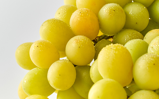 2026年先行受付【家庭用】美作市産シャインマスカット　2kg以上(3〜5房)【配送不可地域：離島・北海道・沖縄県】【1147811】