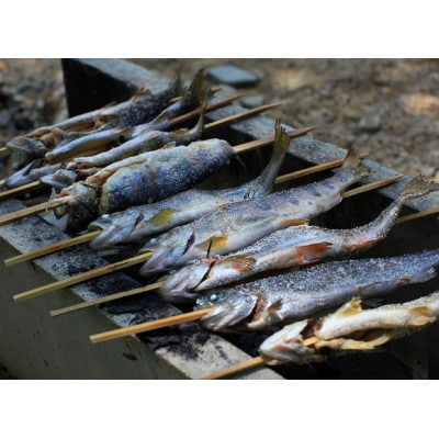 æžæµé£ãäœéšããã¡ããªãŒå
¥å Žåžãã1672833ã